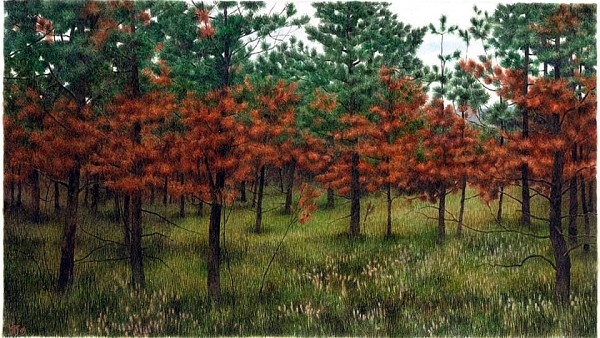 DOM,  avtorice  KATERINE KALC