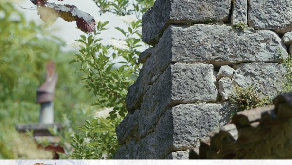 Dokumentarni film »Ne zabite se vrniti«