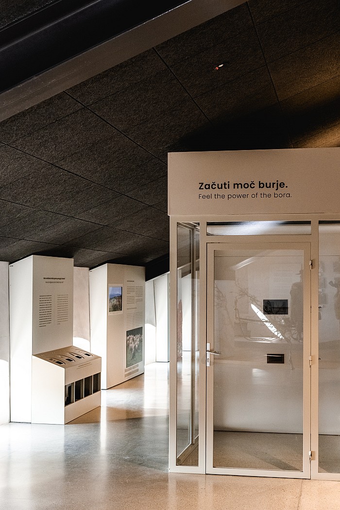 Naravoslovni voden ogled Štanjela in Muzeja Narava in človek na Krasu 