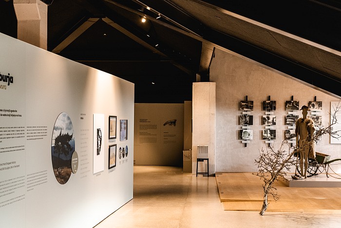 Naravoslovni voden ogled Štanjela in Muzeja Narava in človek na Krasu 